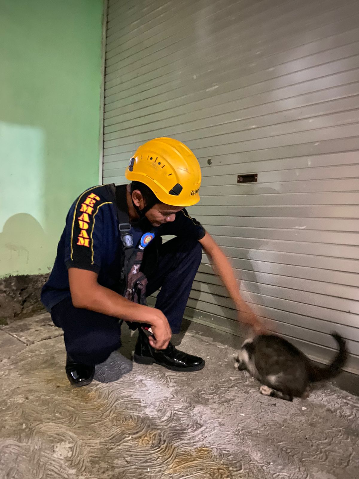 Penyelamatan Kucing Mendominasi Aksi Damkarmat Jogja di Bulan Agustus 2022